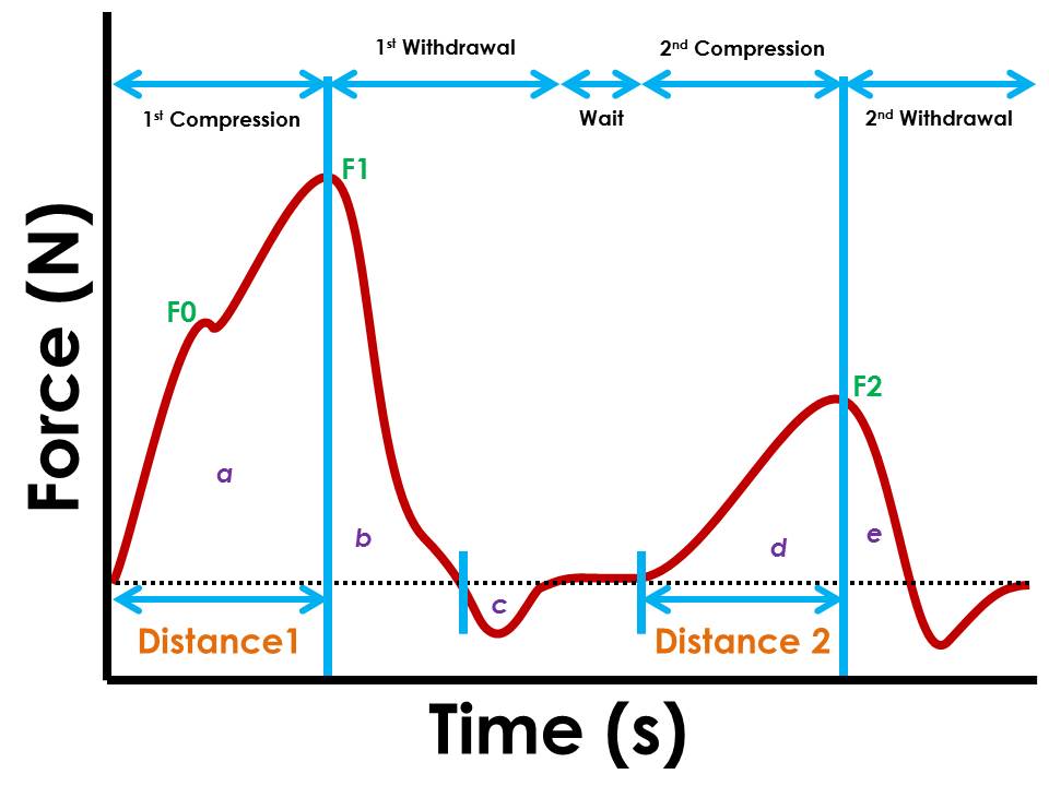 Texture Analysis And Texture Profile Analysis - Rheology Lab