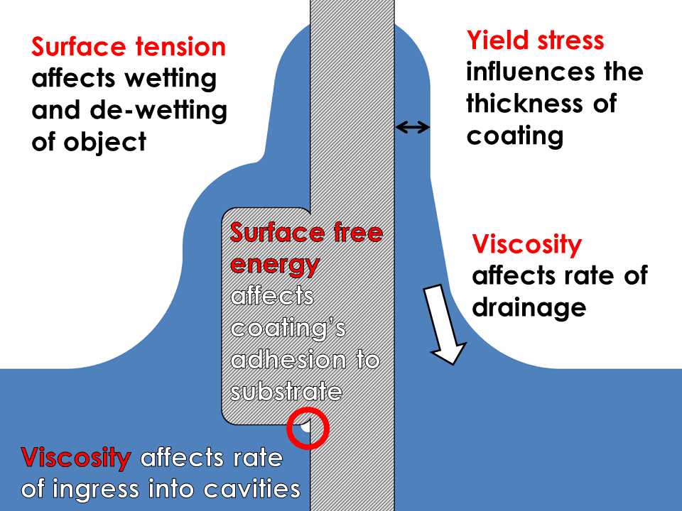 Rheology and surface tension influences the dip coating process in a number of ways that can either help or hinder performance. 