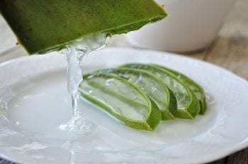 A picture of aloe vera, a common additive in gels for mainly cosmetic claims.