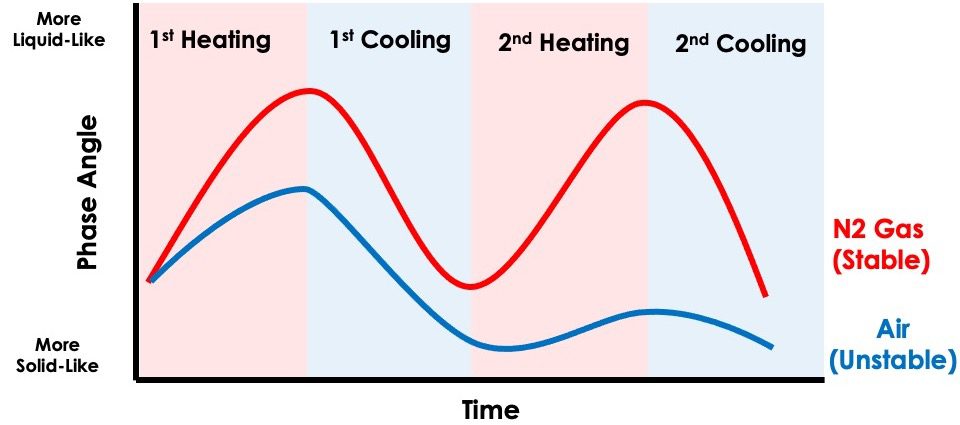 Role of Thermal Process on the Physicochemical and Rheological