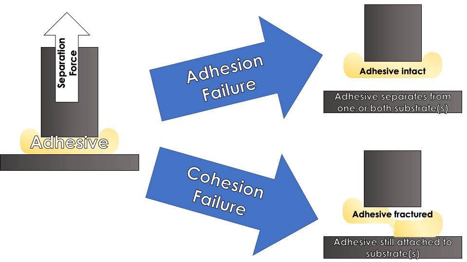 Rheology of adhesives: A graphic showing two modes of failure for adhesives. In adhesion failure the adhesive appears intact on the probe and has separated from a substrate. In cohesion failure the adhesive appears fractured and remains such on opposing substrates.