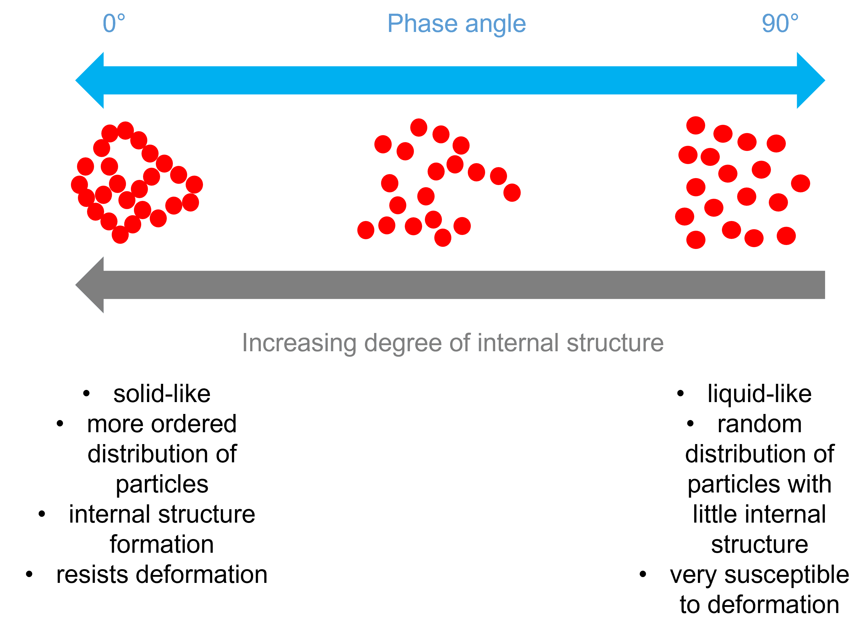 Phase angle graphic for plant-based fats article 