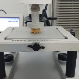 Texture analyser