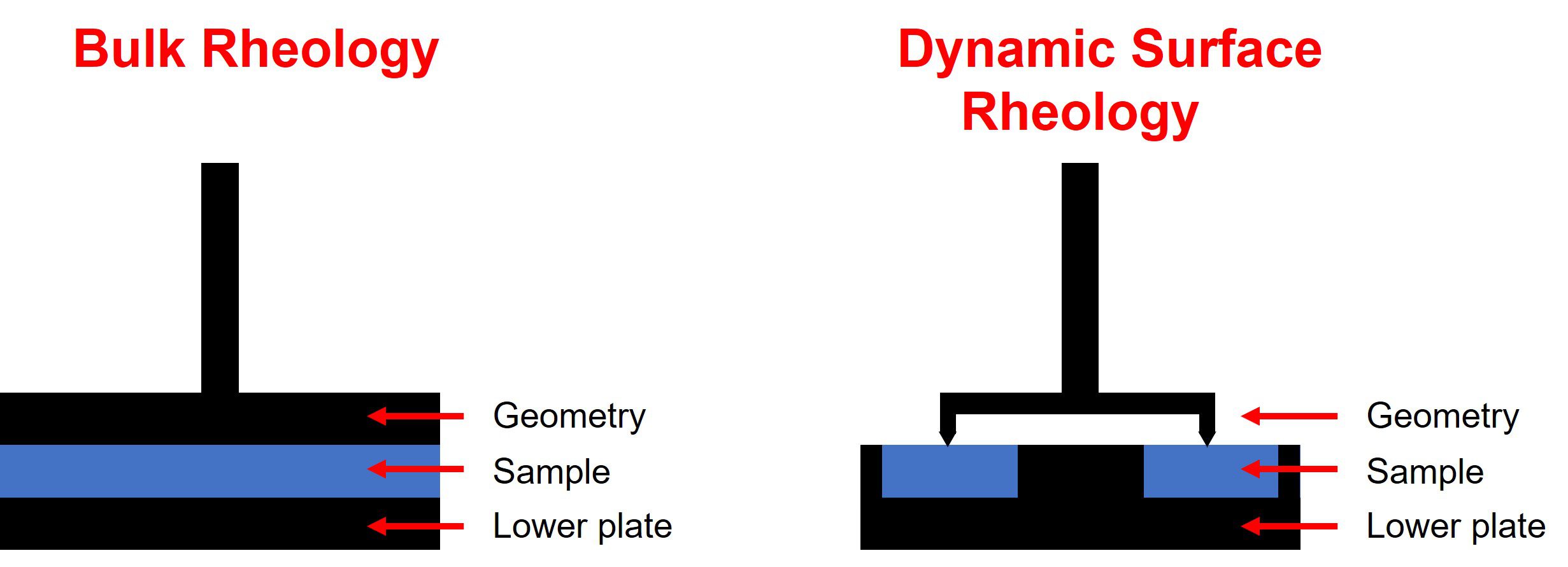 A schematic to show the difference between the reaction set-up of a bulk rheology and dynamic surface rheology