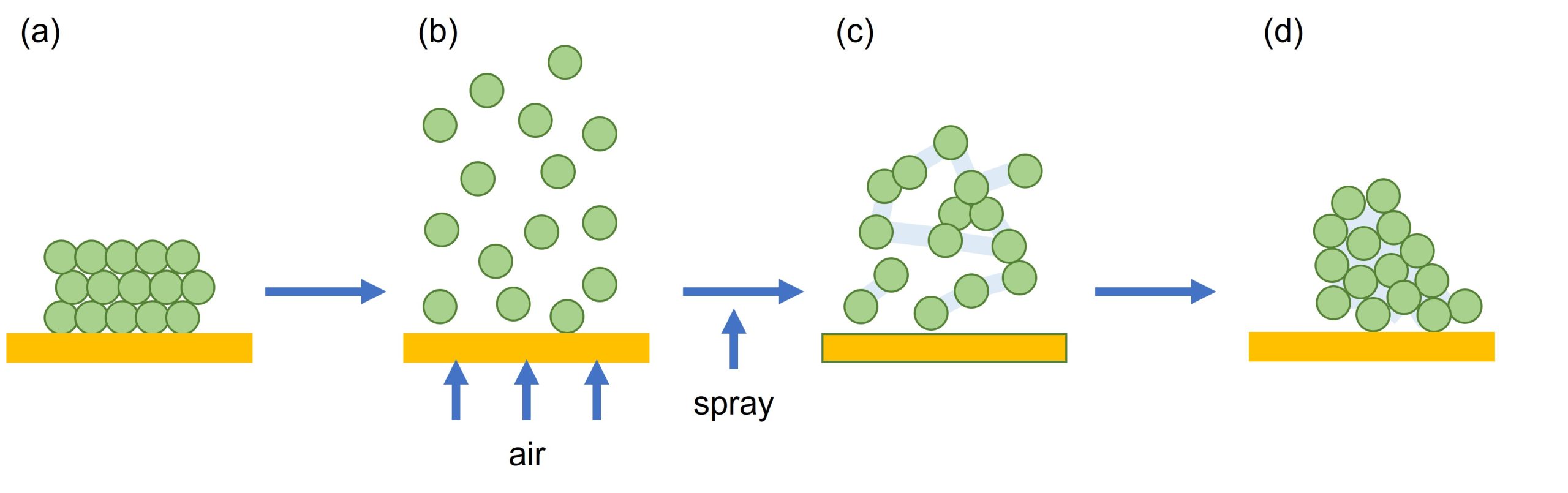 schematic to show key stages during fluid-bed mediated wet granulation