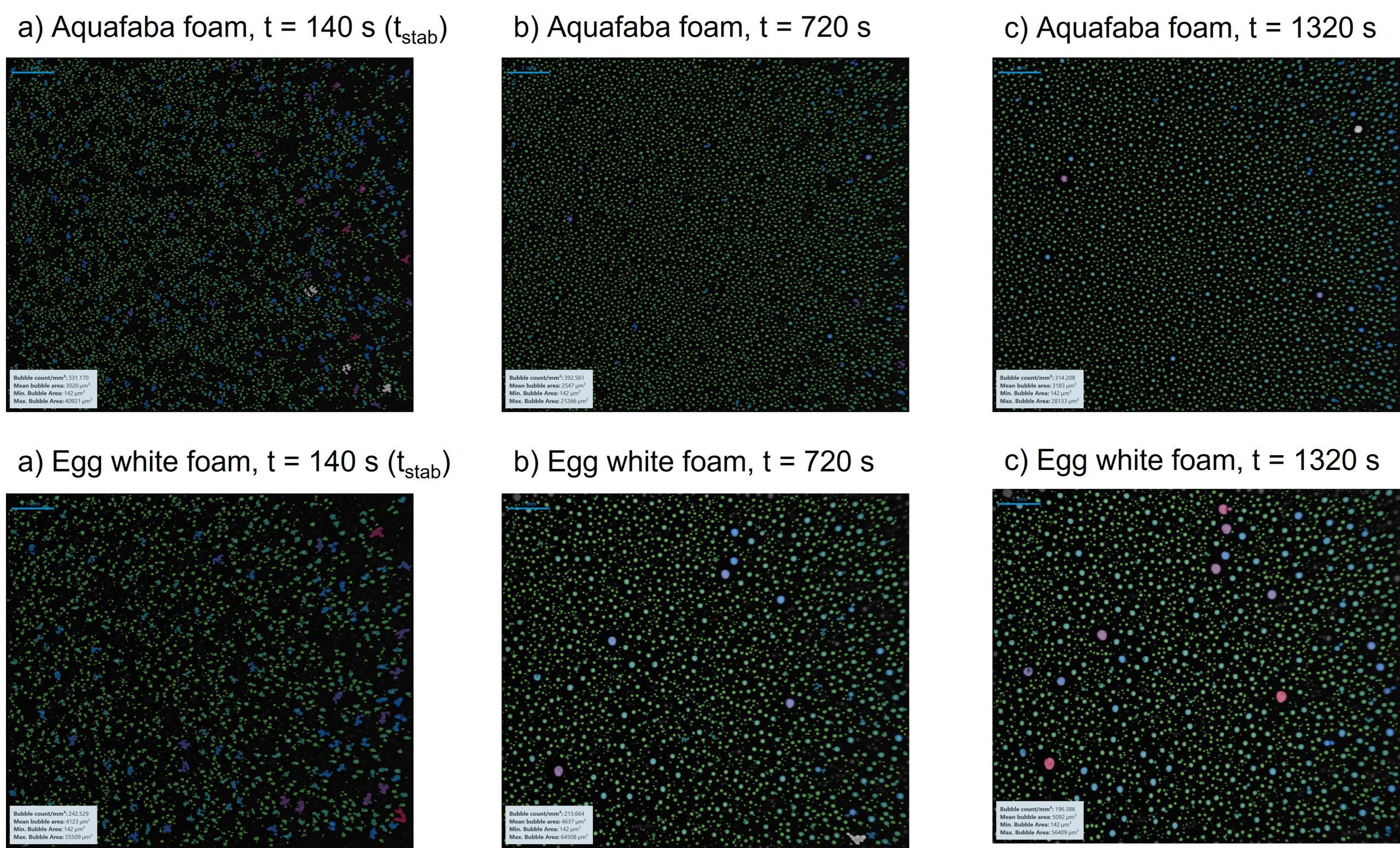 images showing changes in bubble size over time for both aquafaba and egg white foams
