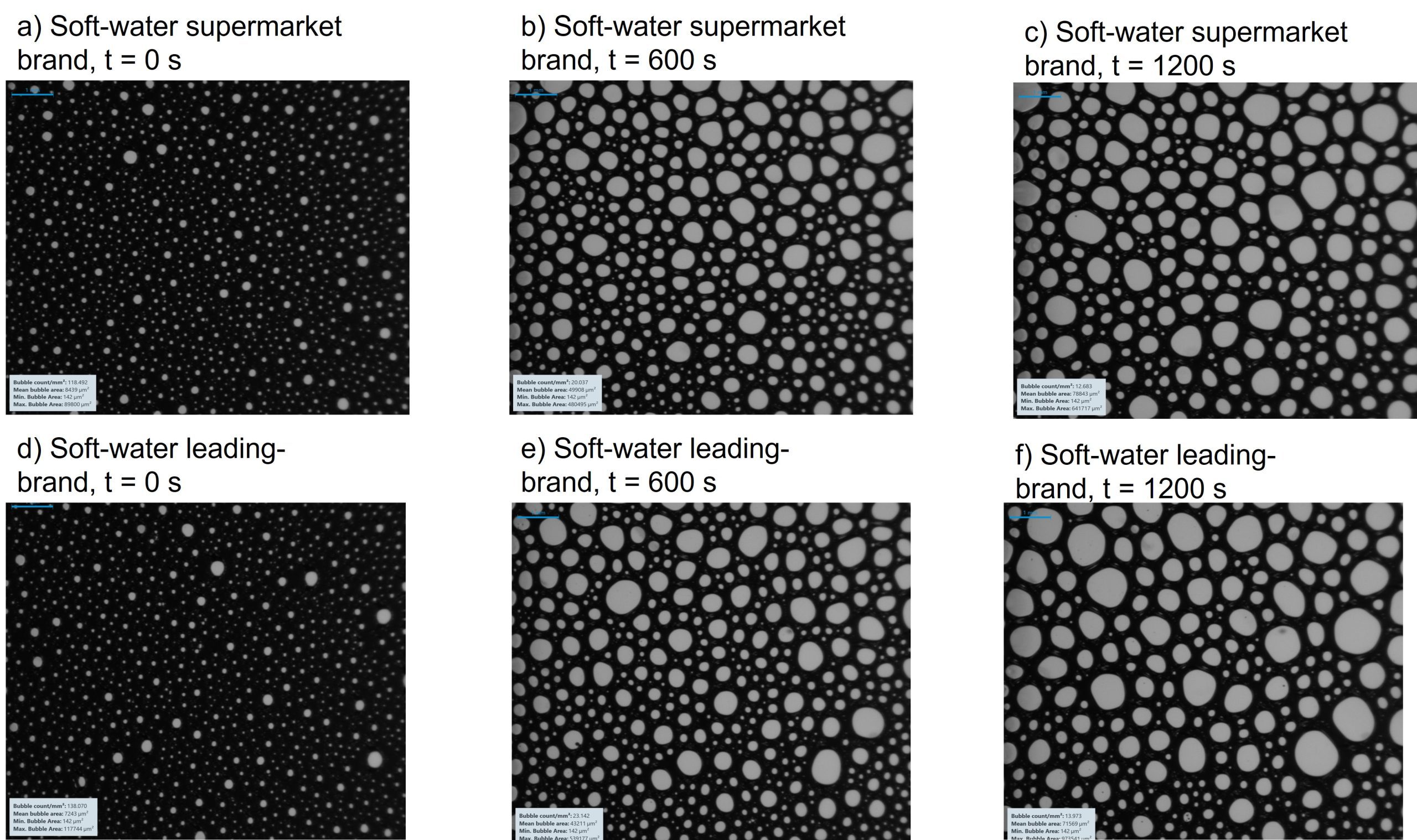 Images showing how bubble size changes over the experiment